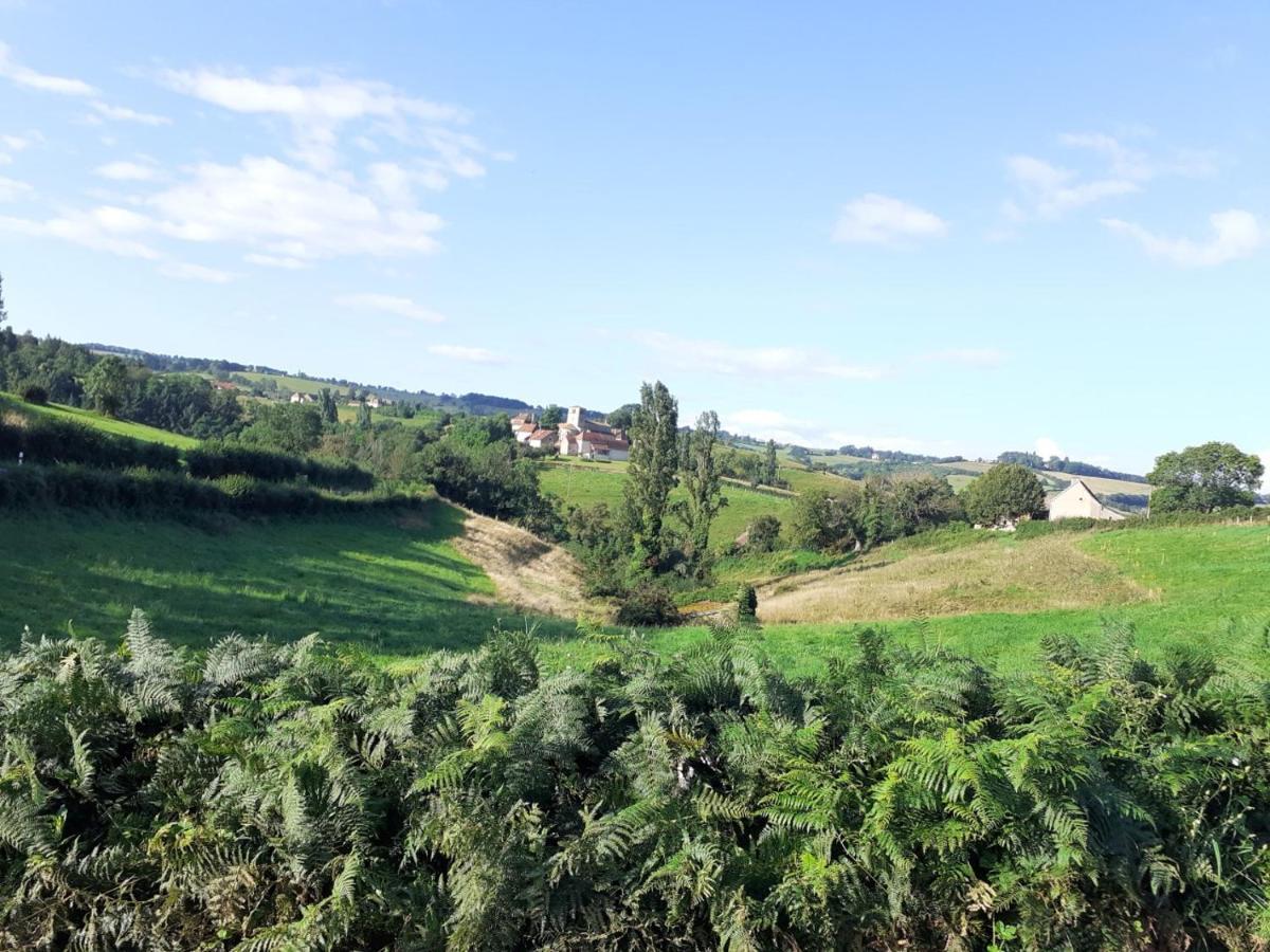 Gite De Belle Vue Semur-en-Brionnais Екстер'єр фото
