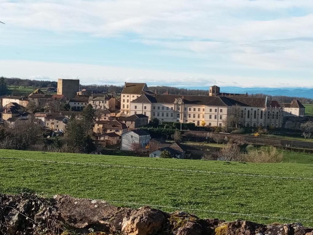 Gite De Belle Vue Semur-en-Brionnais Екстер'єр фото